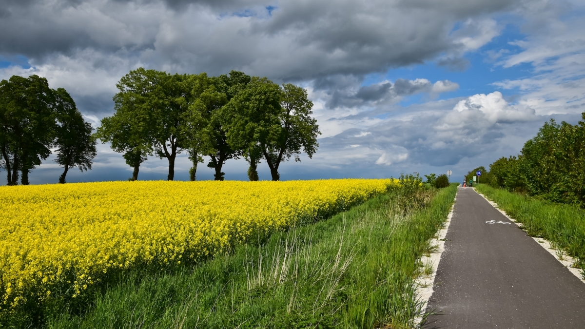 krokowa-a